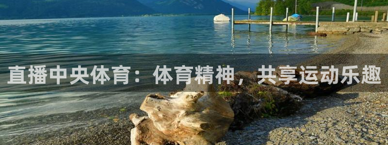 直播中央体育：体育精神，共享运动乐趣